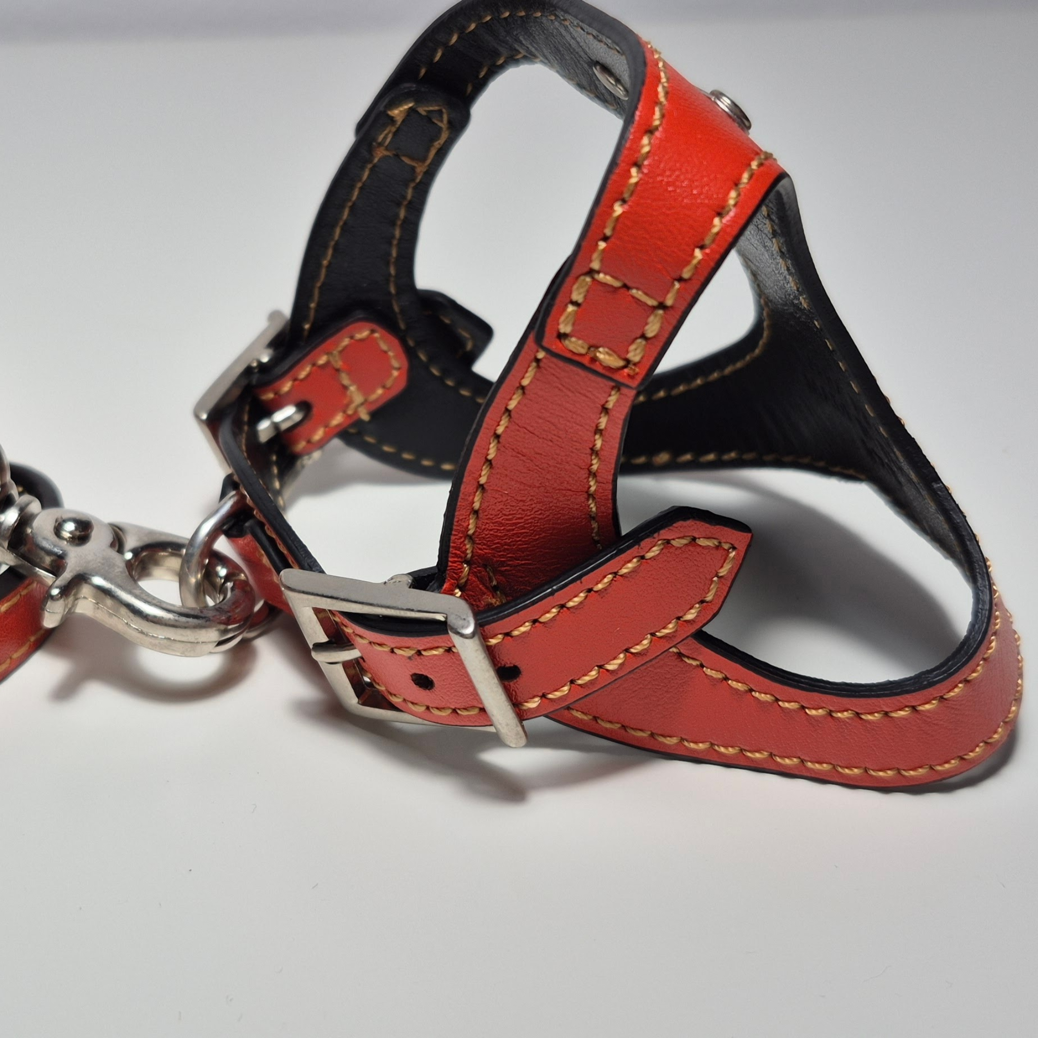 Set Pettorina e Guinzaglio in Pelle con Porta Sacchetti